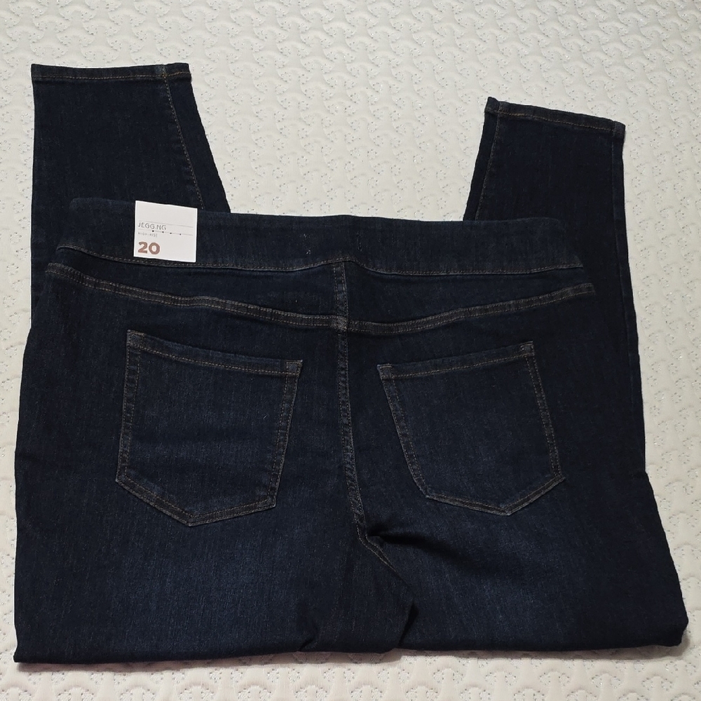 Lane Bryant Jegging